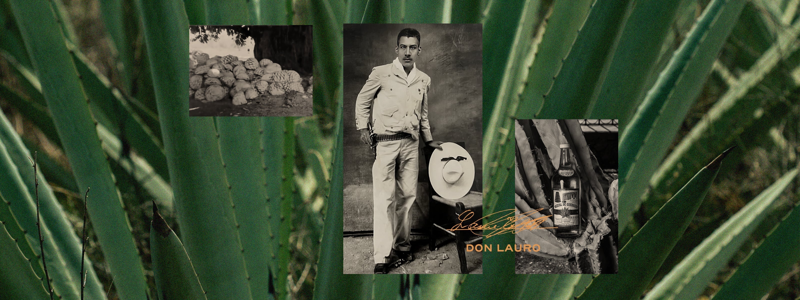 The Legacy of Don Lauro: The Man Behind Chicotona Mezcal