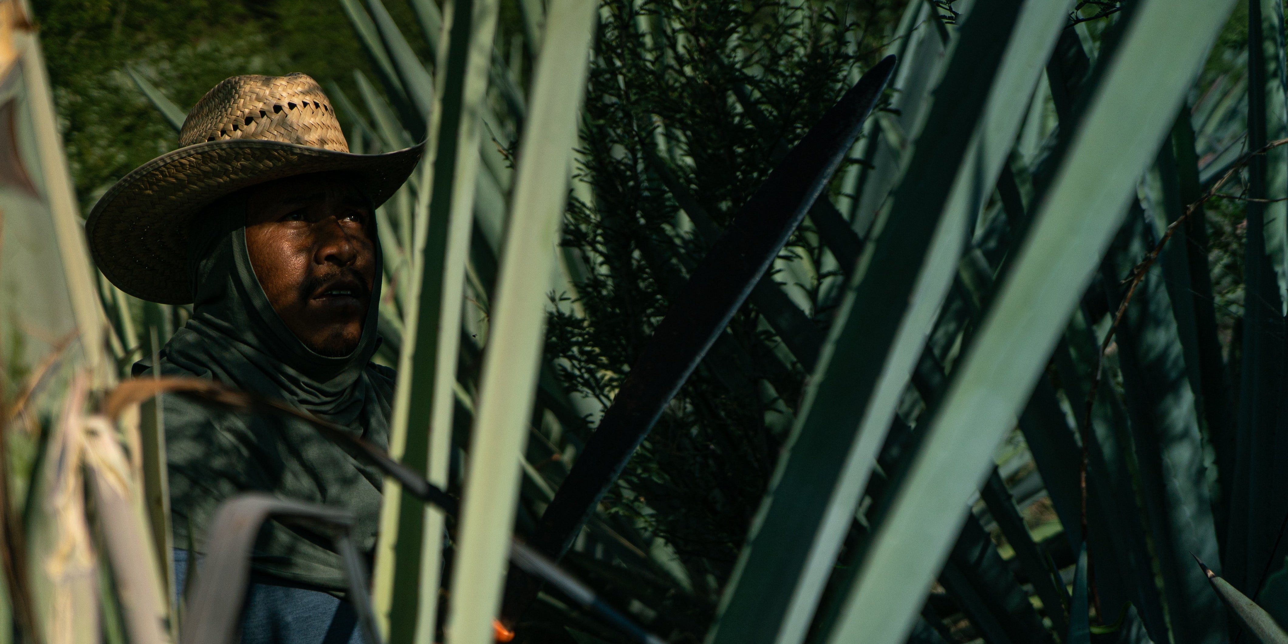 What Is Mezcal, Really? A First Sip Into Mexico’s Boldest Spirit